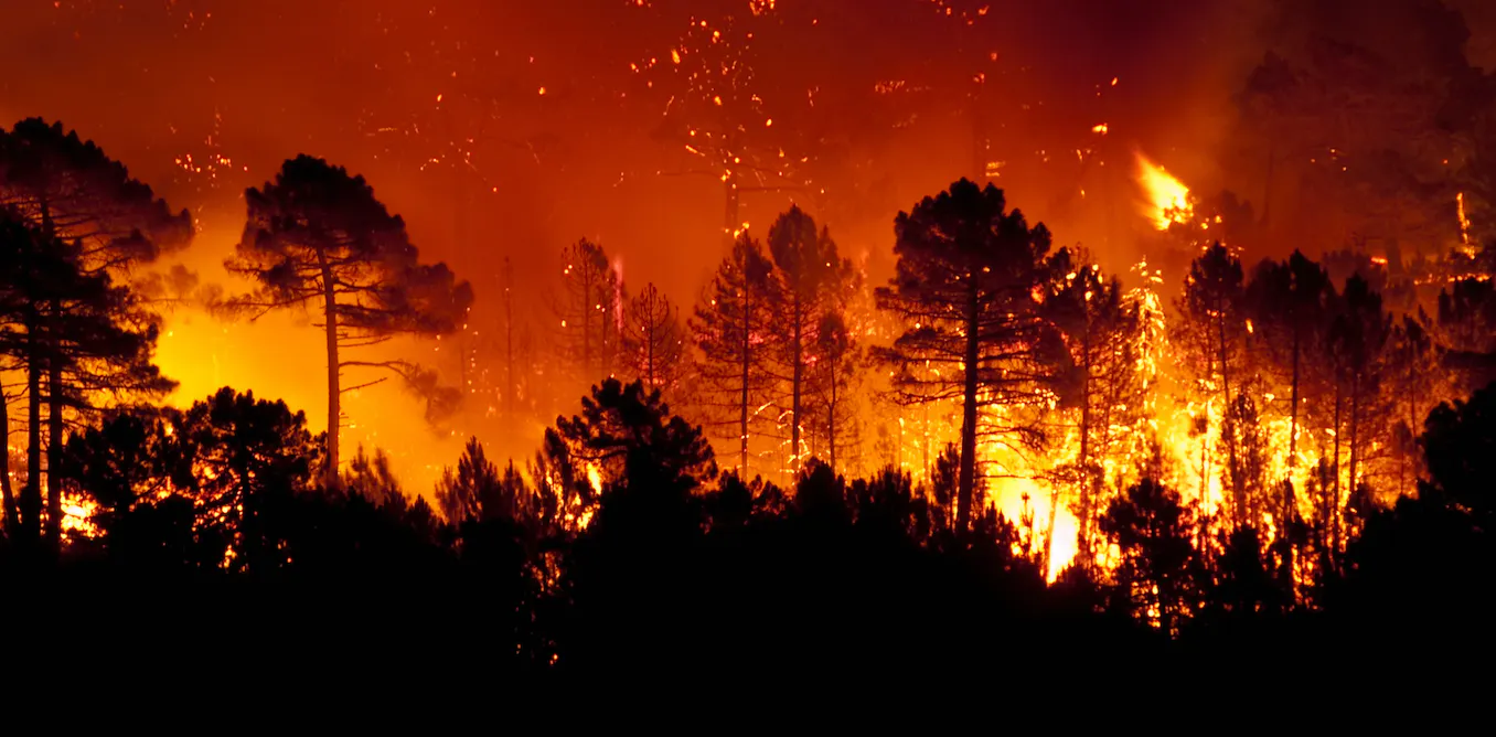 Los incendios forestales