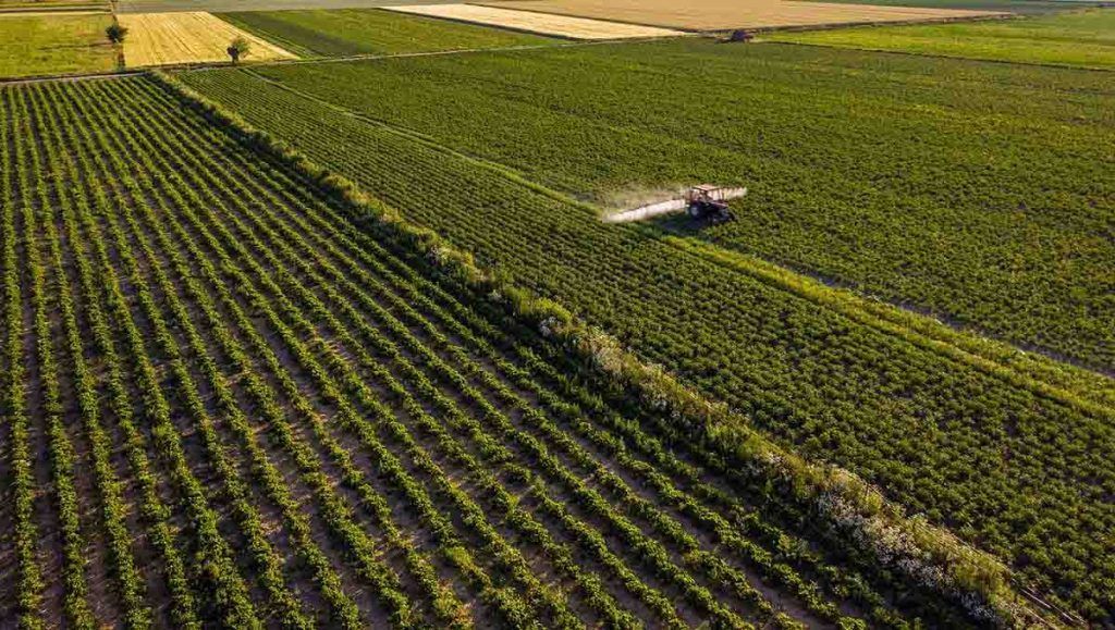 Contaminación por Agricultura Industrial: La Amenaza del Uso Excesivo