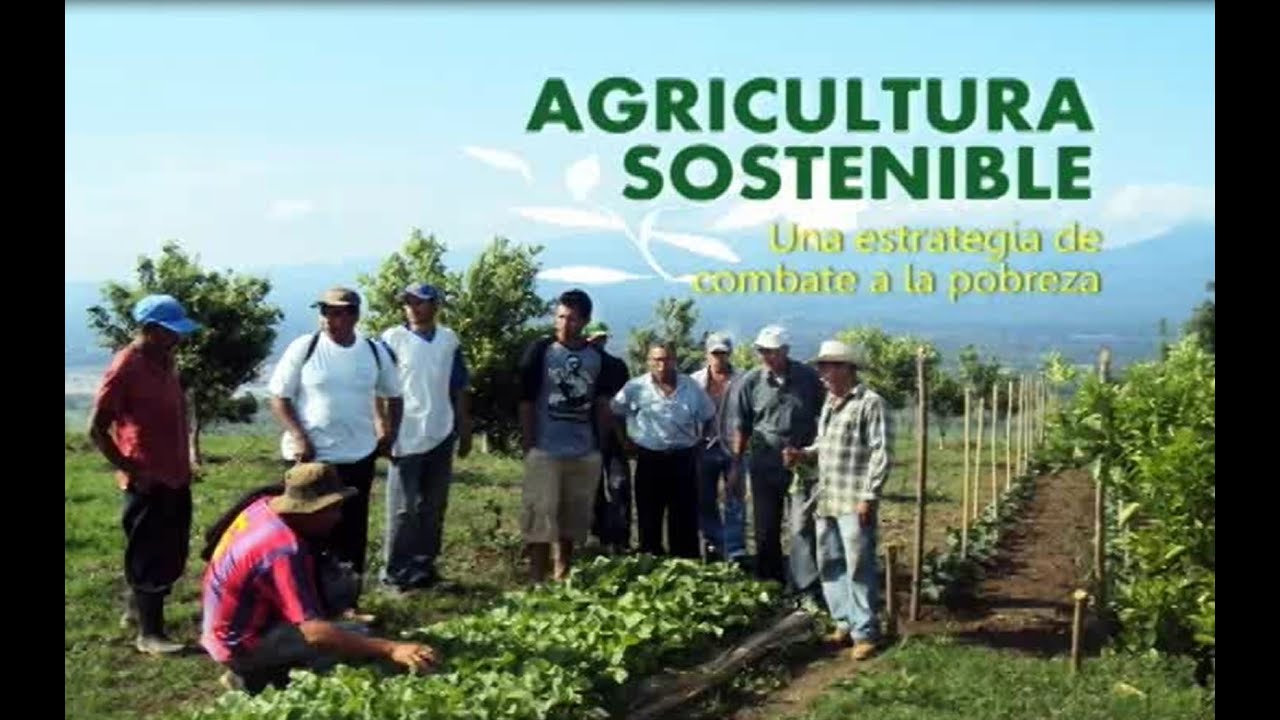 Agricultura Sostenible y Ecológica